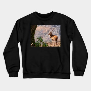 Monarch of the Glen Crewneck Sweatshirt